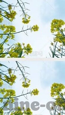 北京足球比分-北京足球比分，绿茵场上的风云变幻与城市足球文化的缩影