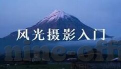 最新足球直播比分-实时追踪绿茵风云，最新足球直播比分，球迷的激情指南针